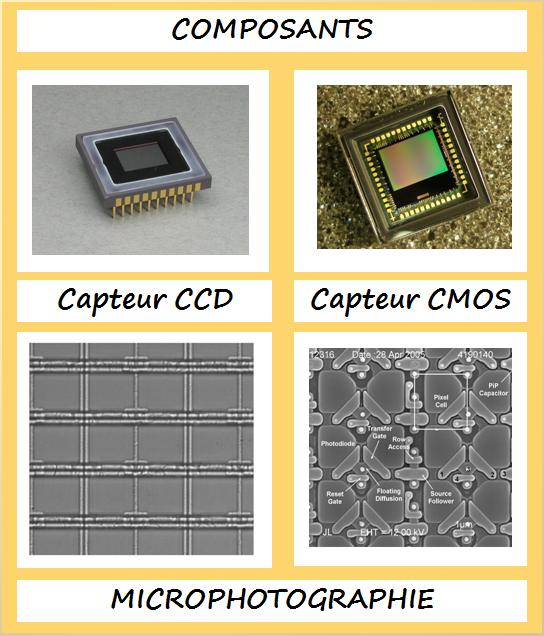Een CCD en CMOS sensor, met microscopiebeelden die duidelijk de hogere complexiteit aantonen van de CMOS sensor.